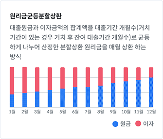 원리금균등분할상환